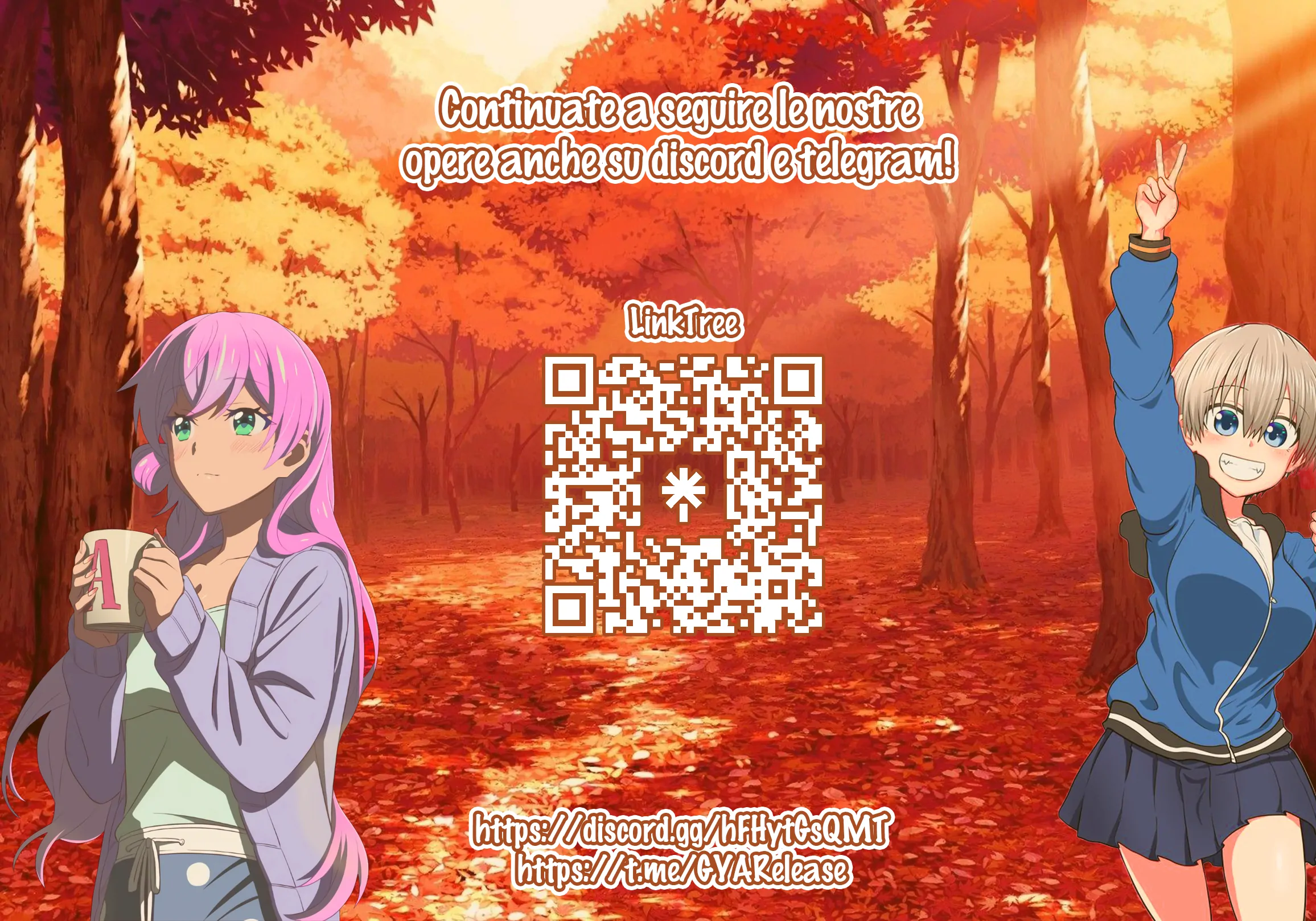 52199408 2312 1618 403608